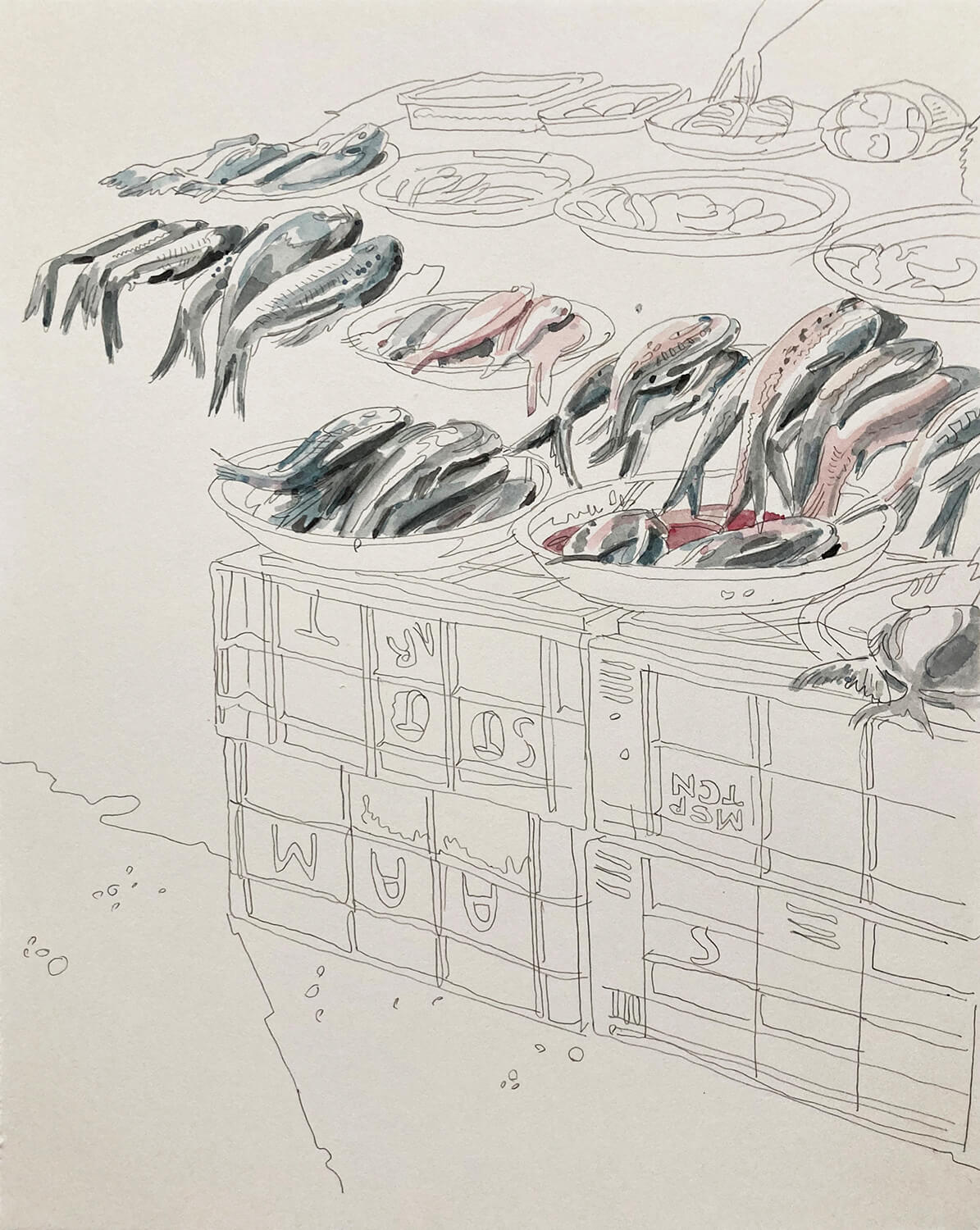 Matthias Beckmann, Fischstand im Johnson Market, 2022, Bleistift und Aquarell, 30 x 24 cm