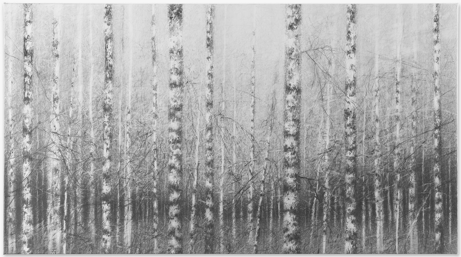 Danja Akulin, o. T., 2021, Bleistift und Graphit auf Papier, aufgegezogen auf Leinwand, 110 x 200 cm