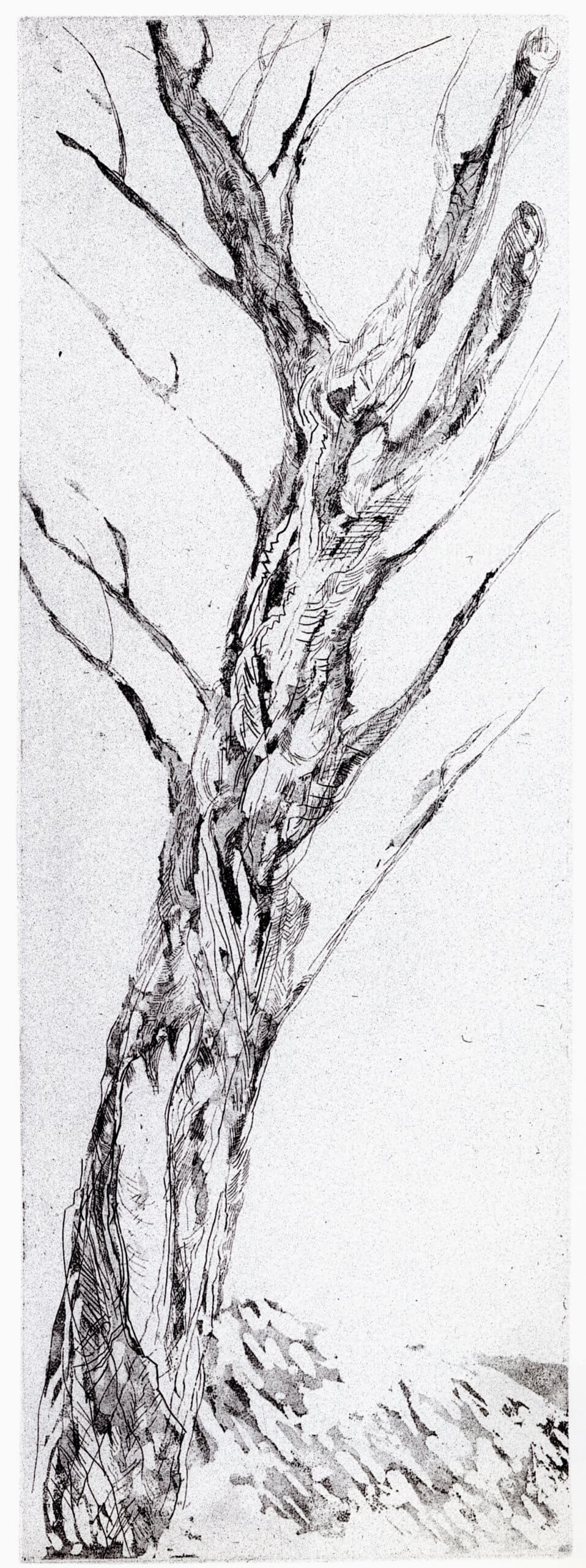 Maxim Kantor, Baum, 1997, Radierung, Auflage: 30, 139 x 49 cm